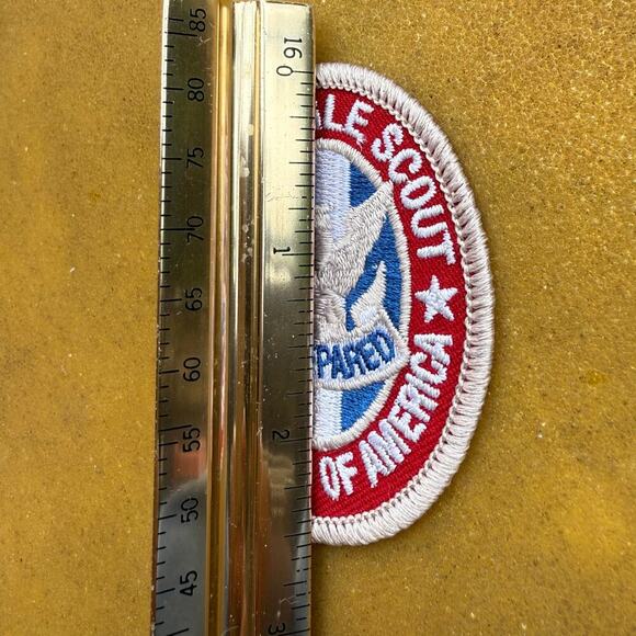 Boy Scouts of America 2010 Eagle Scout Patch - Picture 4 of 4